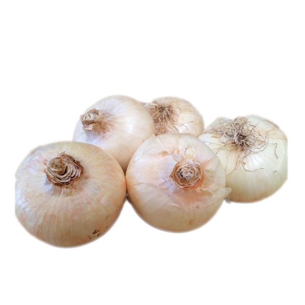 Cipolla giarratana 700g