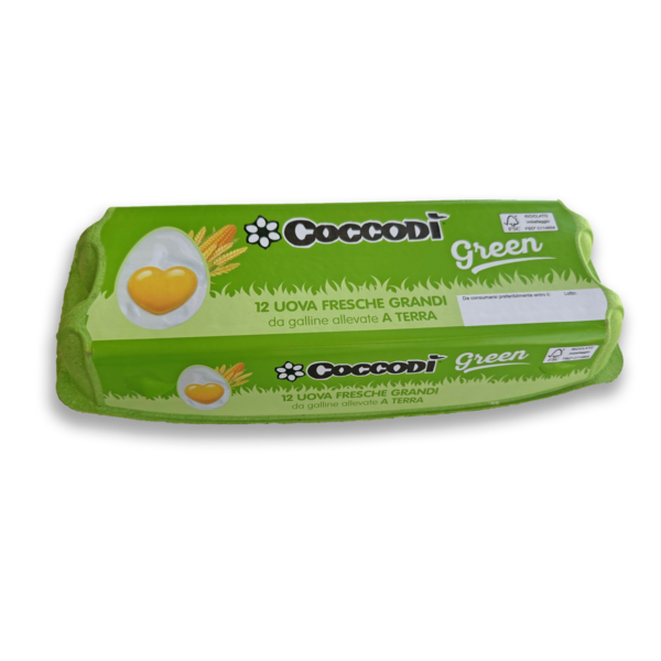 Uova Coccodì green da allevamento a terra x12