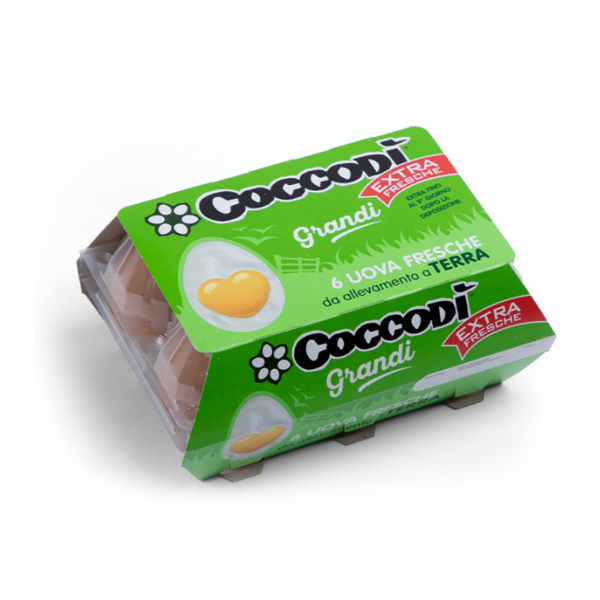 Uova Coccodì extra x6
