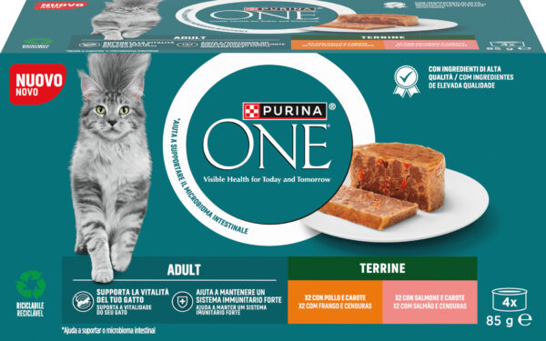 Purina one gatto, 2 pollo e carote e 2 salmone e carote (4x85g)