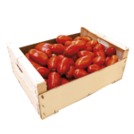 Pomodori per Salsa confezionati