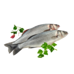 Branzino 200/300 allevato a CASSA