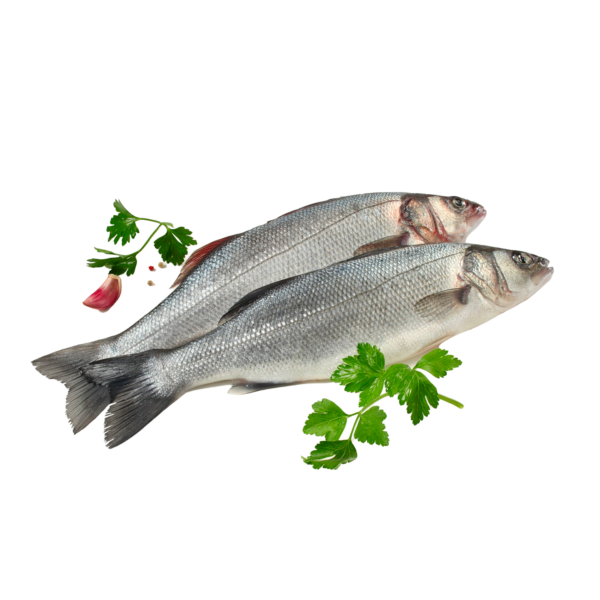 Branzino 200/300 allevato a CASSA
