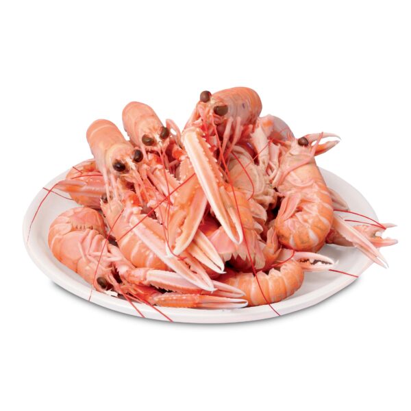 scampi interi kg1