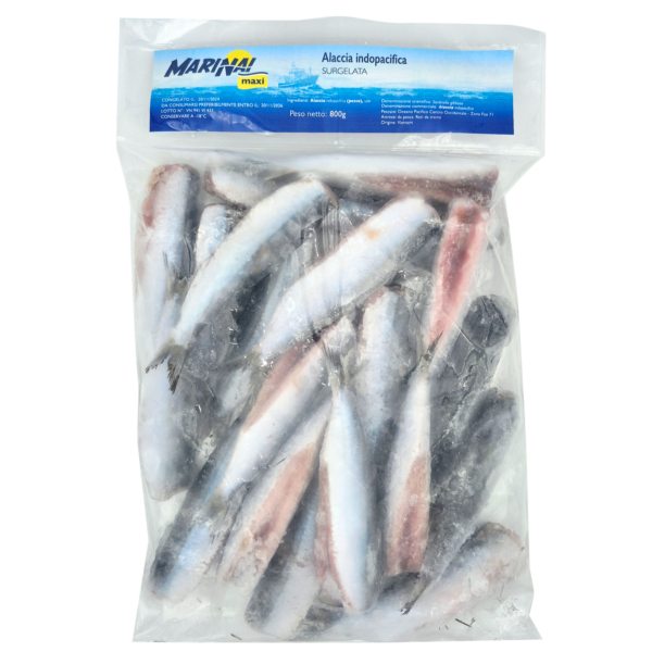 Alaccia indopacifica senza testa 800g Marinai